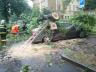 Bouřka v Ostravě zastavila tramvaje a v Opavě zničila automobil