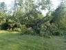 v Pstruží spadl strom na elektrické vedení