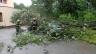  Moravskoslezští hasiči odstraňovali po noční bouřce a srážkách přes dvě desítky stromů