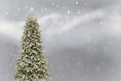 rozsvícení vánočního stromu